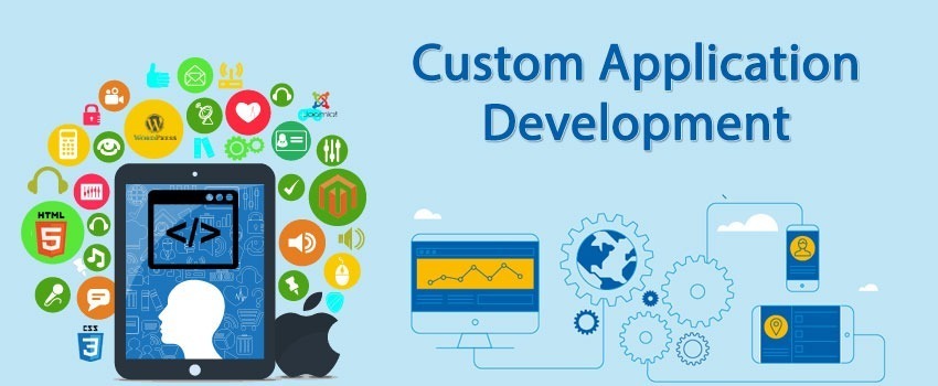 custom web application development services