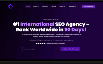 Case Study: Interactive SEO Agency Website